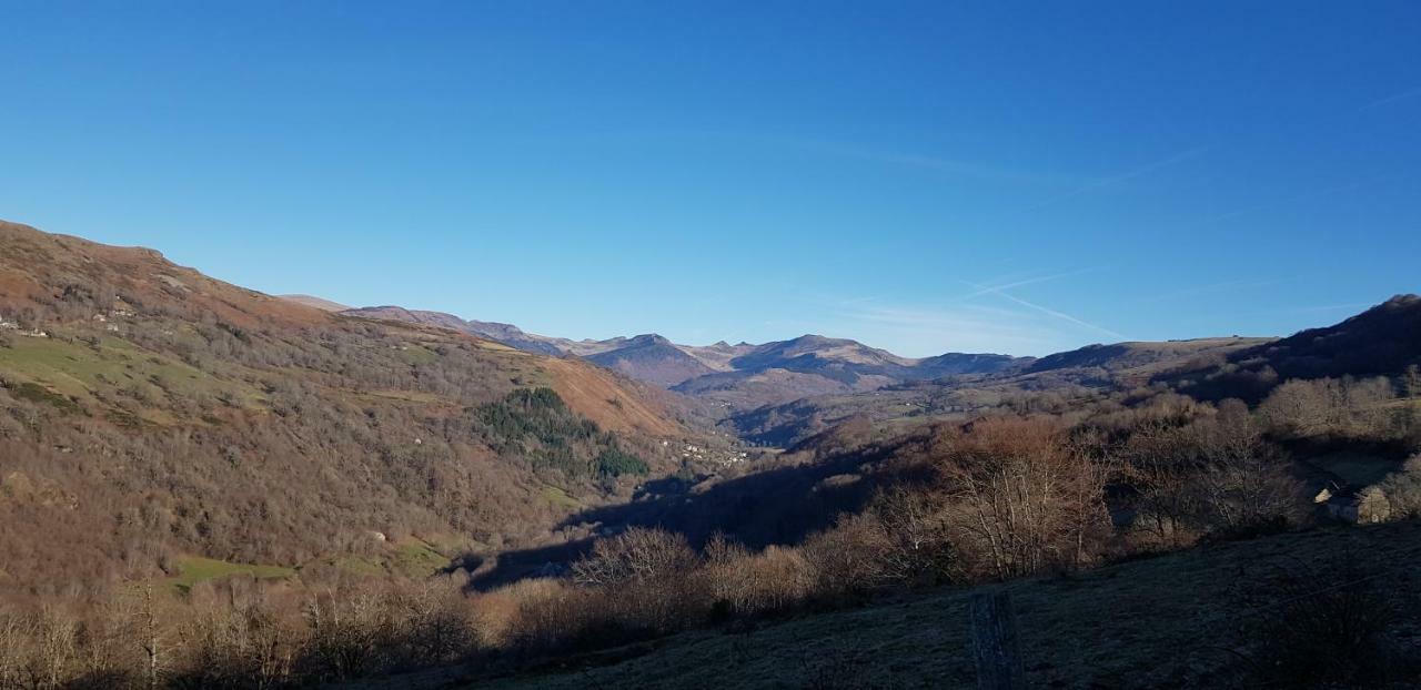 Maison Du Pays De Salers Dans Le Parc Des Volcans D'Auvergne Saint-Projet-de-Salers المظهر الخارجي الصورة